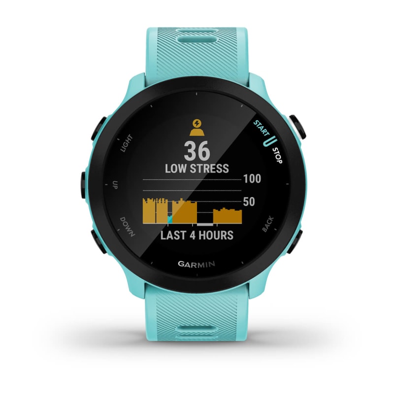 Garmin 2025 forerunner 36