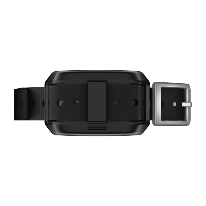 Garmin delta collar online