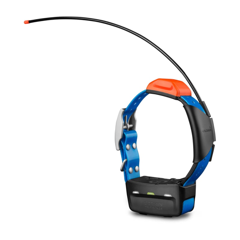 Garmin t5 discount dog collar