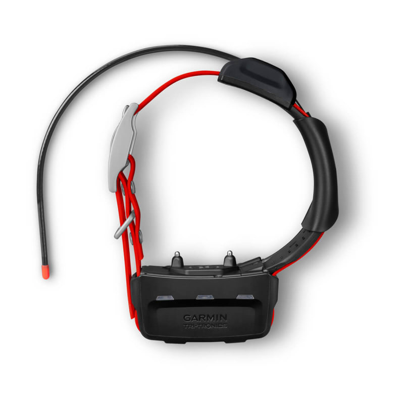 Garmin dog tracking sales devices