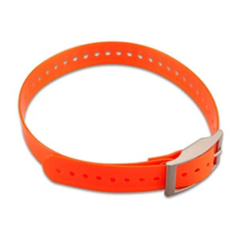 Dog collar strap online