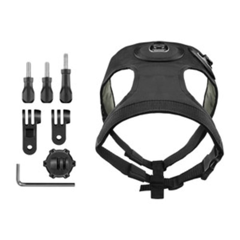 Garmin virb camera for dogs hotsell