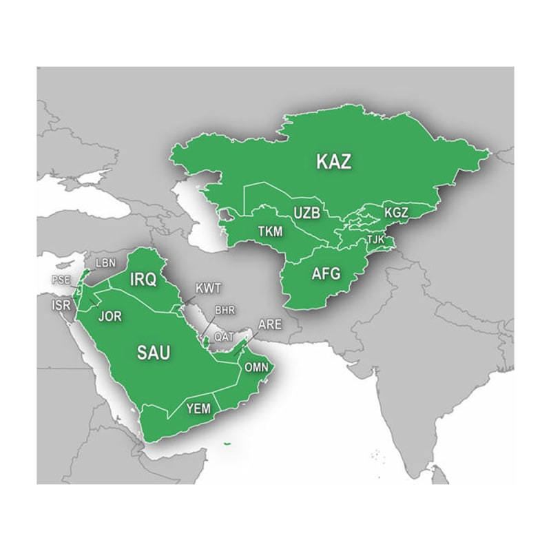 Land Intrusion infrastruktur Topografisk kort | Garmin TopoActive Mellemøsten og Centralasien