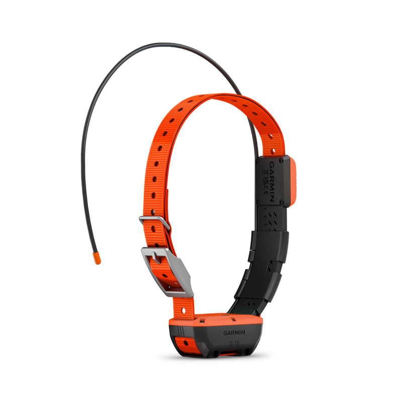 Alpha T 20 Dog Collar