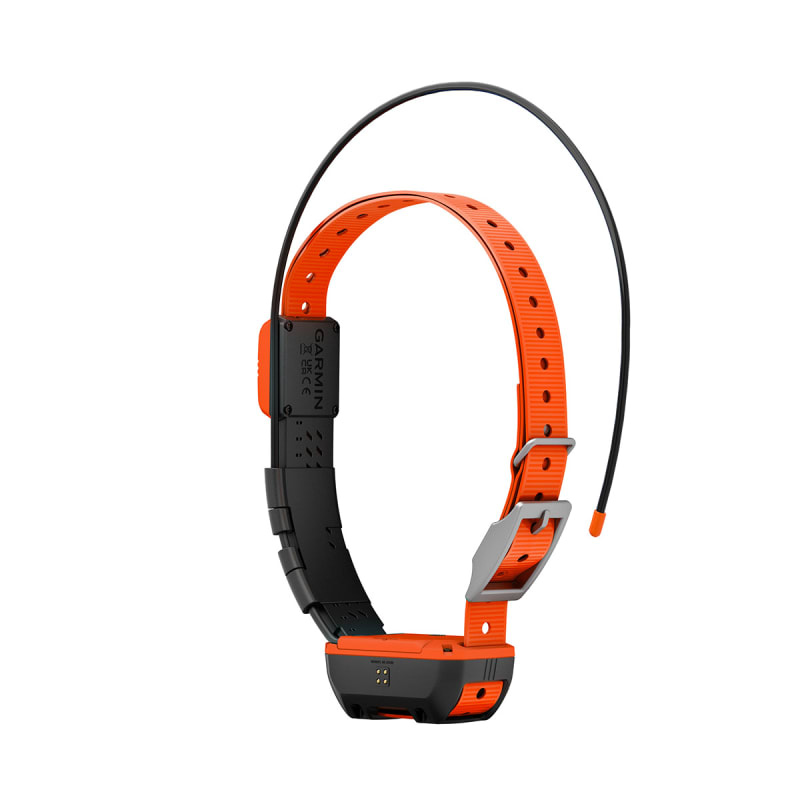 Garmin Alpha T 20 Dog Collar Sporting Dog Tracking Collar