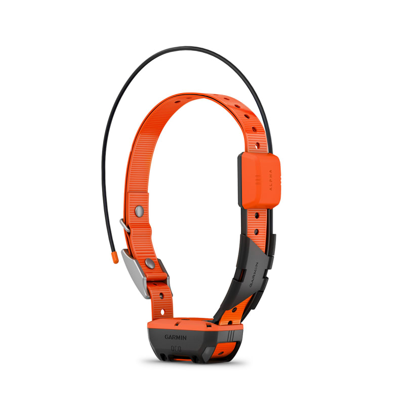 Garmin Alpha T 20 Dog Collar Sporting Dog Tracking Collar