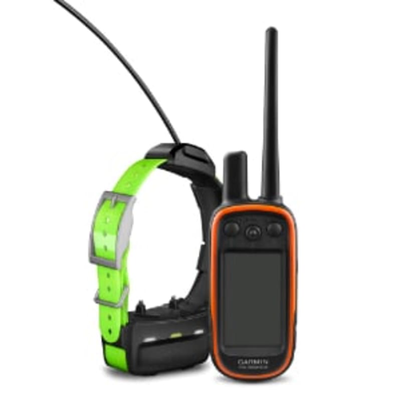 Pack Alpha Garmin 10F et collier GPS pour chien TT15F