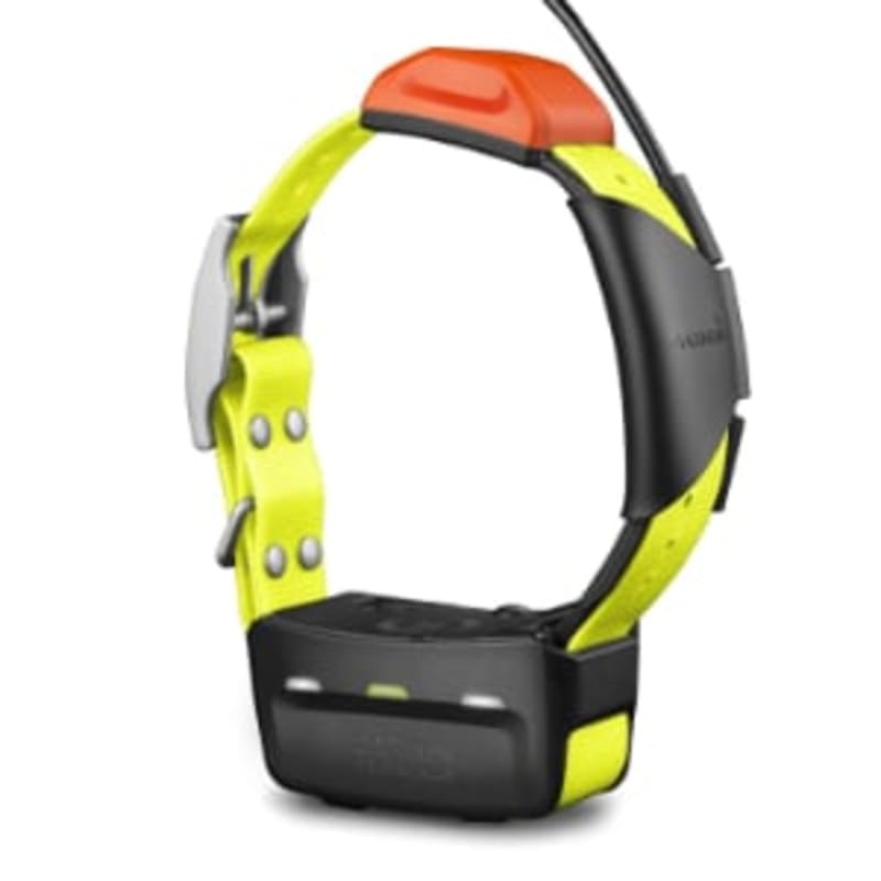 Montre garmin reperage chien shop