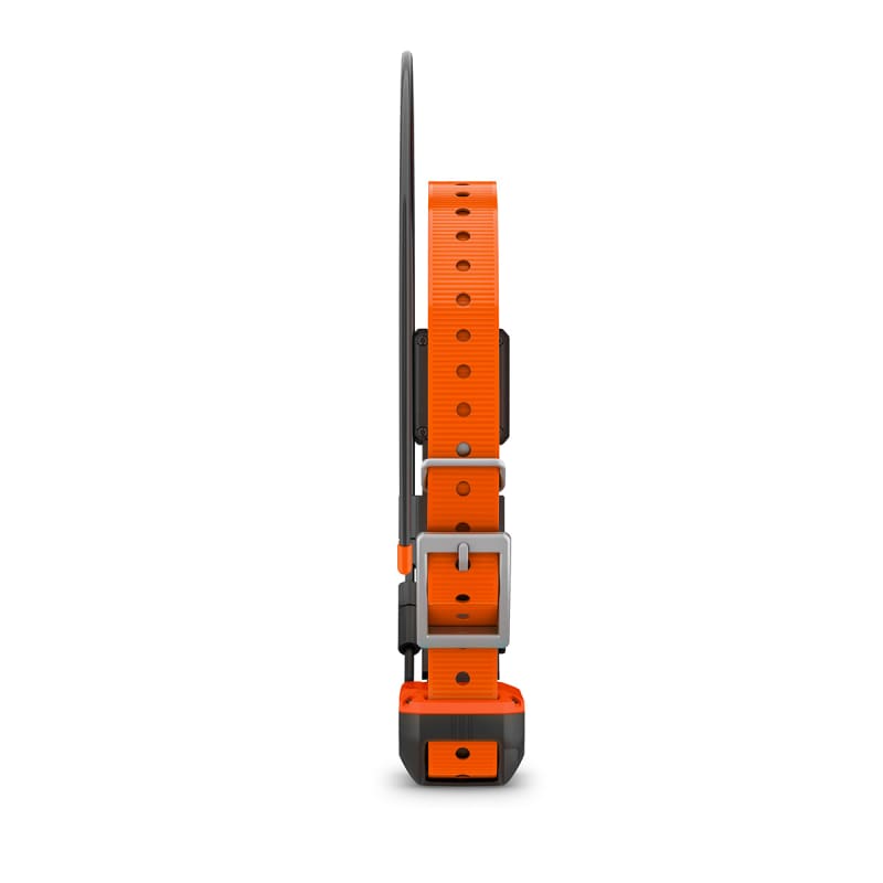 Garmin Alpha T 20 K Dog Collar Sporting Dog Tracking Collar