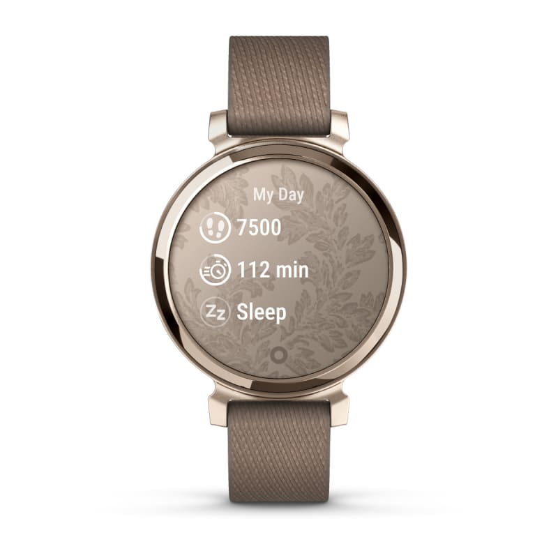 Smartwatch Garmin Lily Sport