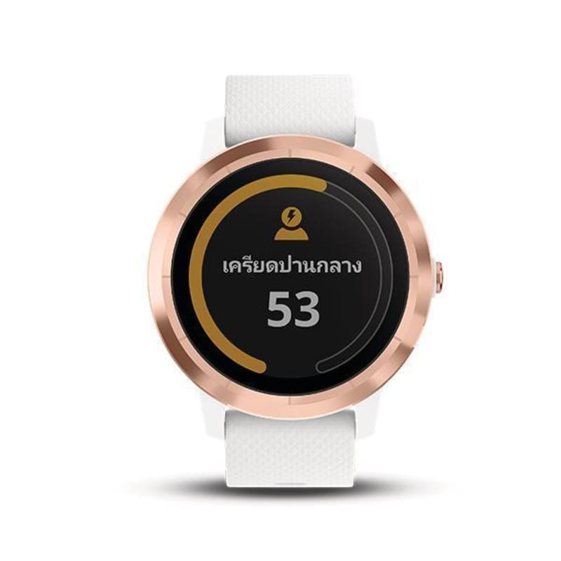 The garmin vivoactive 3 discount