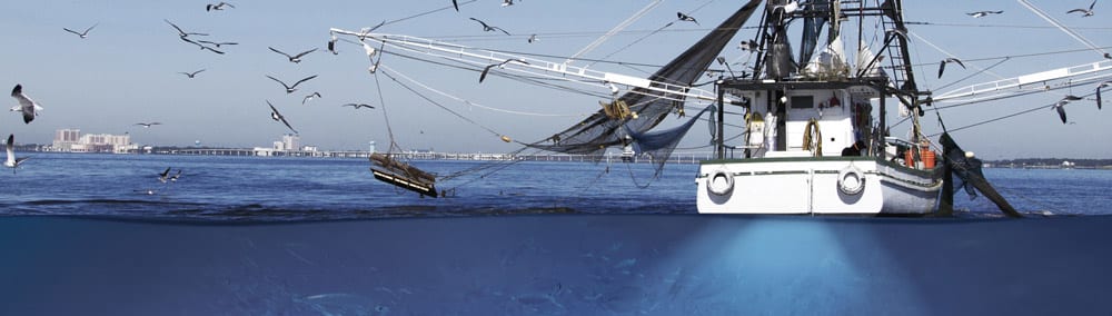 CS 1522 Marine Professional Fishfinder: Send Your Crew to Catch More Fish