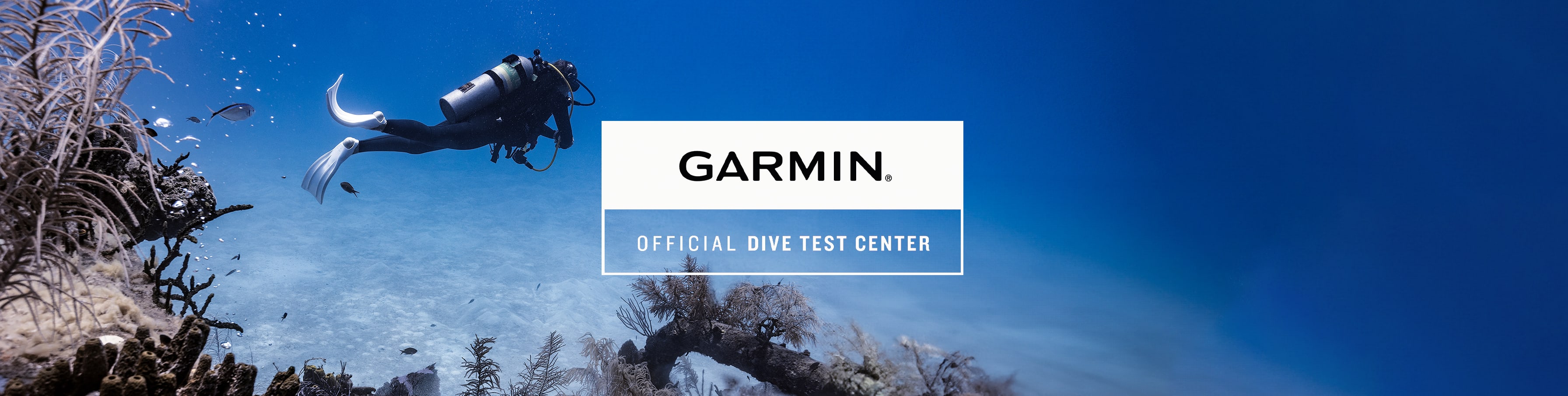 Garmin discount descent mk